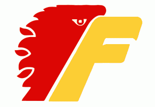 Philadelphia Firebirds 1977 78-1978 79 Primary Logo iron on heat transfer